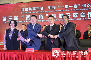 第三届西三角区域开放合作交流会成功举办，陕川渝优势资源汇聚，携手打造能源贸易新高地